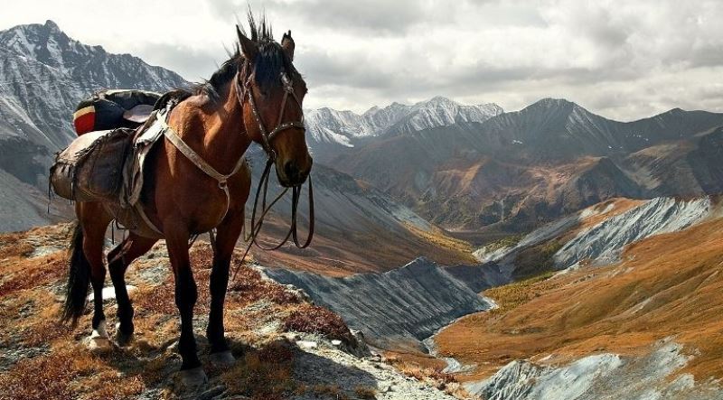 Путешествие по Алтаю на конях