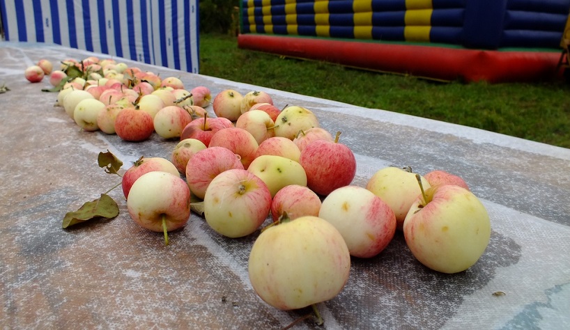 Празднование яблочного спаса в Макарьевке, Алтайский район