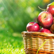 Празднования яблочного спаса в 2019 году на Алтае