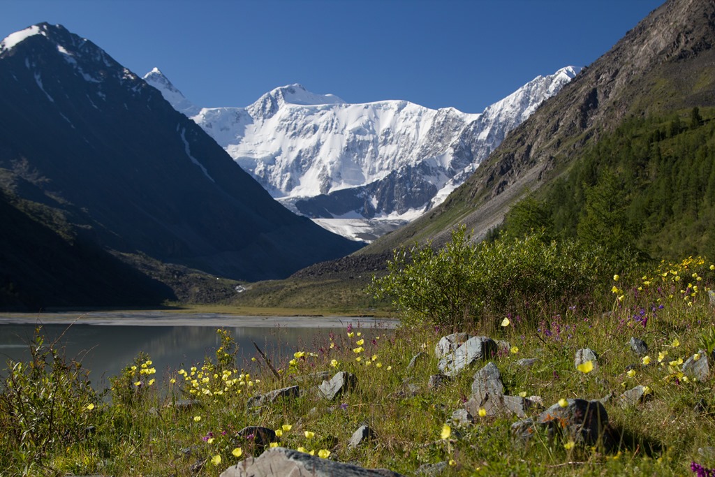 Гора белуха алтай фото